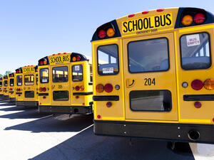 (Shutterstock/ File Photo)
