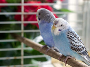 (Shutterstock/ File Photo)