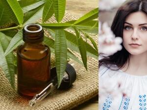 اصنعيه بنفسك: زيت شجرة الشاي لعلاج حب الشباب