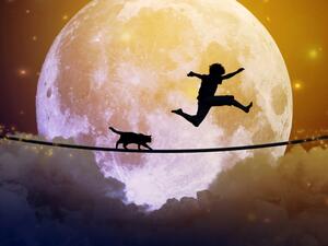 يقال إن رؤية الحيوانات أثناء النوم يمكن أن تعني أشياء جيدة وأخرى سيئة