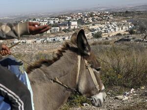 A man rides on a donkey in the Palestinian village of Kifl Hares opposite the Israeli Jewish settlement of Revava (background) on November 19, 2019. Israeli Prime Minister Benjamin Netanyahu hailed a US announcement that it no longer considers settlements in the West Bank and annexed east Jerusalem illegal, but the Palestinians pledged new measures to oppose it. Jaafar ASHTIYEH / AFP