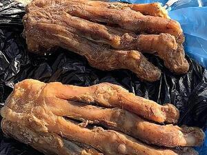Two of the paws which were seized by Russia's FSB security agency at a border post between Russia and China  (dailymail)