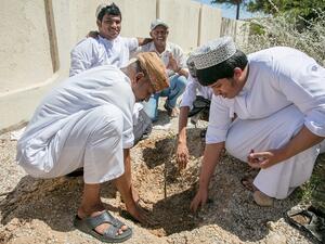 جمعية البيئة العُمانية تتعاون مع شركة نيلز يارد ريميديز للحفاظ على أشجار اللبان العُمانية 