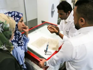 Qatar National Library Hosts Training Program for Conservation Experts From Iraq