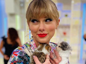 Taylor has just landed into Tokyo