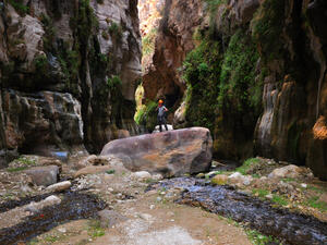 Hiker in wadi Karak valley, Jordan  (Shutterstock)	