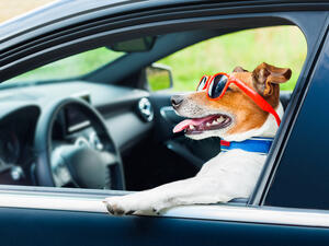 (Shutterstock/ File Photo)