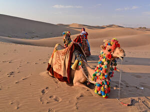  Lut Desert  (Shutterstock)	