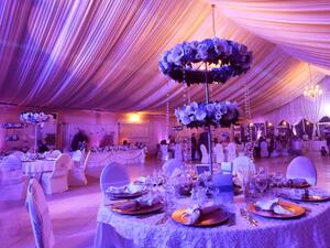 الاهتمام المبالغ به بالكوشة