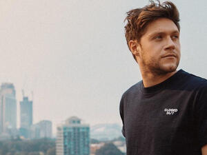 Niall previously revealed that many of the songs on his new album were inspired by his heartbreak over his split from Hailee Steinfeld, 22.