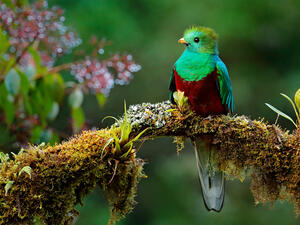 (Shutterstock/ File Photo)