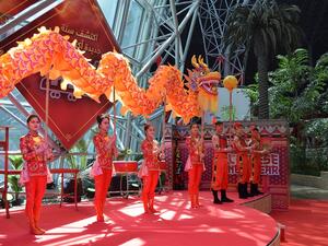 تمتعوا بباقة من العروض الأكروباتية المميزة وفعاليات الترفيه الثقافي ومجموعة من خيارات المطبخ الصيني