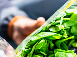 يعتبر الابتكار في حلول التغليف، بما فيها المواد الجديدة وأنظمة إعادة التعبئة وحلول إعادة التدوير، تحدياً رئيسياً آخر أمام الجهود الرامية لاستشراف مستقبل خالٍ من النفايات.