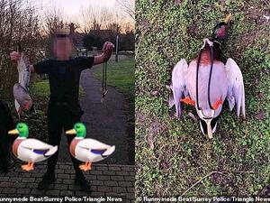 Children have been posting images to their social media accounts which show them with dead animals (left) and animals with catapults around their necks (right). (Daily Mail/ Surrey Police)