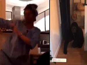 French underwear company Le Slip Français is under fire for failing to terminate the employment of two employees who took part in an 'Africa-themed' dinner party. (Video Screenshot)