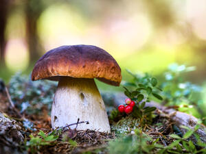 (Shutterstock/ File Photo)