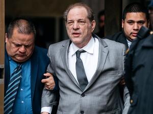 هارفي وينشتاين 