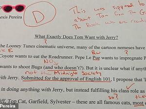 Huh? A college student was reportedly assigned an essay on the classic American novel The Great Gatsby — and instead wrote an essay on the cartoon Tom & Jerry. (Twitter)