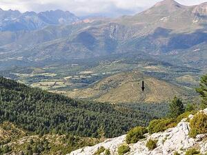 Remains of Neolithic immigrants were brutally executed over territory more than 7,000 years ago (Twitter/Magallon)