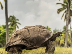 New global study reveals generational and global perspectives on the value of travel, inspiring Four Seasons to create experiences big and small that make the most of every moment