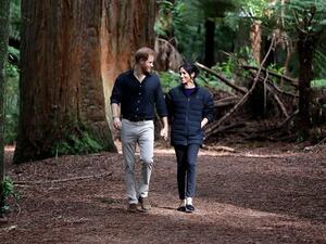 Duke and Duchess of Sussex  (Twitter)