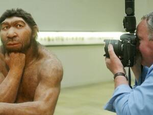 A photographer takes pictures of the reconstruction of Neanderthal man’s ancestor displayed in Halle, eastern Germany.( Photograph: Sebastian Willnow/AFP/Getty Images)