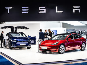 Are People Buying Tesla Cars for the Environment or for the Social Image It Represents? 