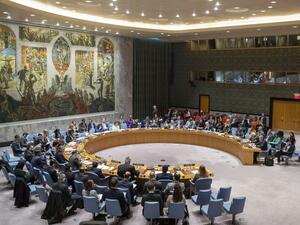 UN Security Council  (Twitter)