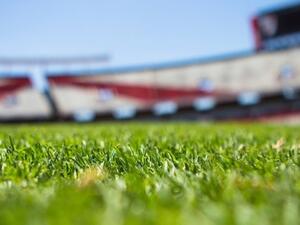 Representative image. Photo: Pexels