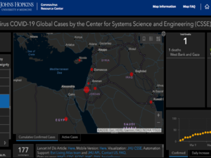 'Palestine' was eventually replaced with 'West Bank and Gaza' [John Hopkins Coronavirus Resource Centre screengrab]