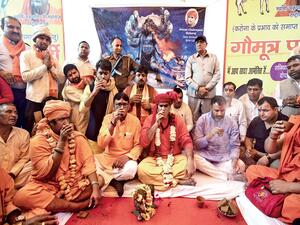 The gathering was for a ‘gaumutra party’ in Delhi organised by the Akhil Bharat Hindu Mahasabha  (Twitter)