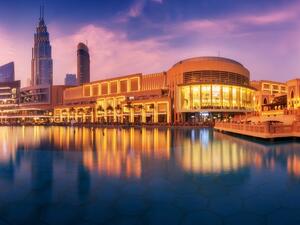 Dubai Mall (Twitter)