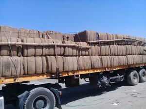 Support includes provision of 9 million agricultural packaging bags