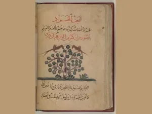 Fascinating documents on Qatar Digital Library reveal details of a little-known, but significant battle against locust swarms in mid-20th century