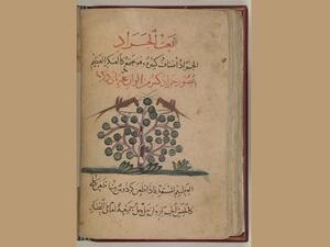 تكشف الوثائق التاريخية المهمة المتاحة للاطلاع عبر مكتبة قطر الرقمية تفاصيل معركة يجهلها الكثيرون ضد جحافل الجراد دارت رحاها في منتصف القرن العشرين   