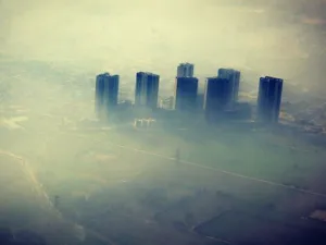 Businesses' Recovery Plans Post COVID-19 Can Boost Revenues While Keep the Climate Safe