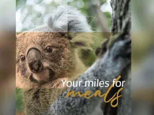 For every mile donated, Etihad will match your donation to support conservation efforts. 