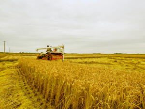 (Shutterstock/ File Photo)