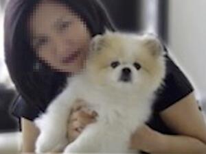 Hong Kong Pomeranian that tested positive for COVID-19 dies after returning home (Twitter)