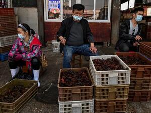 This photo taken on April 15, 2020 shows vendors wearing face masks as they offer prawns for sale at the Wuhan Baishazhou Market in Wuhan in China's central Hubei province. China's "wet" markets have gained a bad international reputation as the coronavirus roiling the world is believed to have been born in stalls selling live game in Wuhan late last year. Hector RETAMAL / AFP