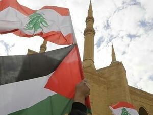 لبنان / فلسطين