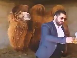 مدير الجمعية العلمية لطب الإمام الصادق "مهدي سبيلي".