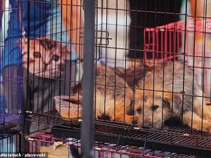 (Shutterstock/ File Photo)