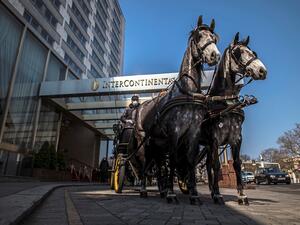 فندق إنتركونتيننتال - فينا