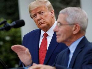 Should We Take a Hint? Trump May Want to Fire Dr. Fauci After Supporting Media Attacks Against Him