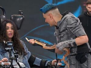 Video: Yasmine Sabri Begs Ramez Galal to Use the Toilet and Hysterically Screams During Ramez Majnoon Rasmi