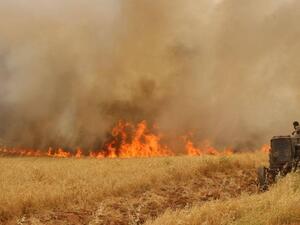 عودة الحرائق لمزارع الحنطة والشعير في عدة مناطق بالعراق