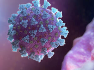 فيروس كورونا