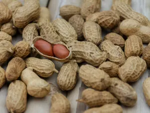 ماذا تعرف عن االاستعمالات الصحية للفول السوداني ؟