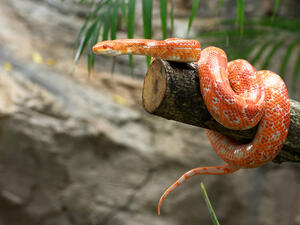 (Shutterstock/ File Photo)